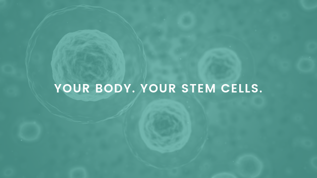 Stem Cell Seminar