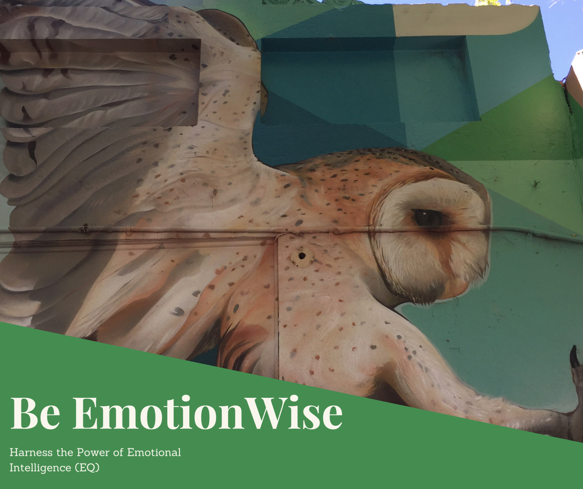 BE EMOTIONWISE™: Harness the Power of Emotional Intelligence (EQ)
