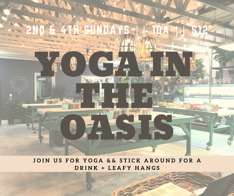 Yoga in the Oasis