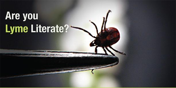 Lyme Disease: Are You Literate?
