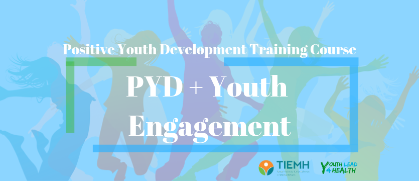 PYD + Youth Engagement Training Course- Houston