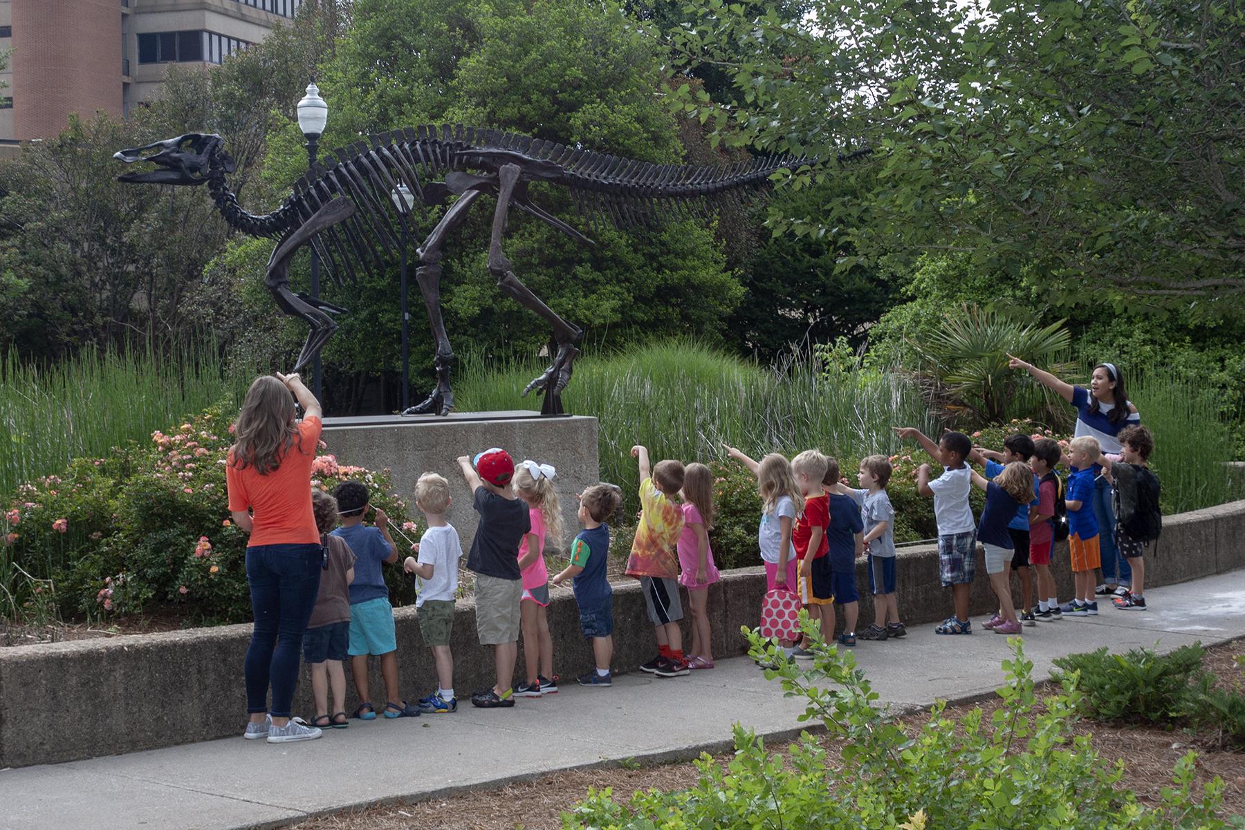 McClung Museum Summer Camps 2020