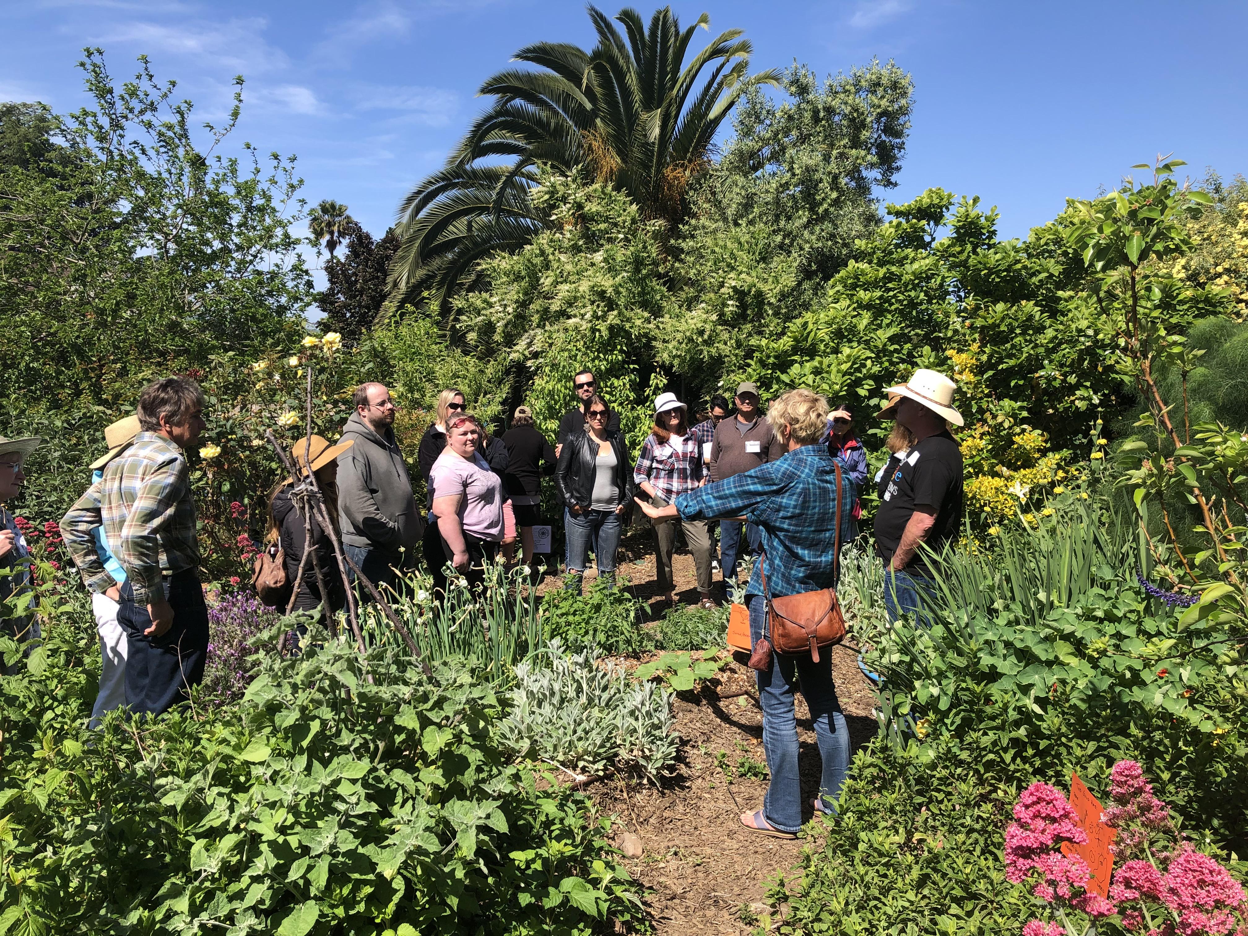 Redesign Basics: How to Design for the Expanding Food Forest Garden