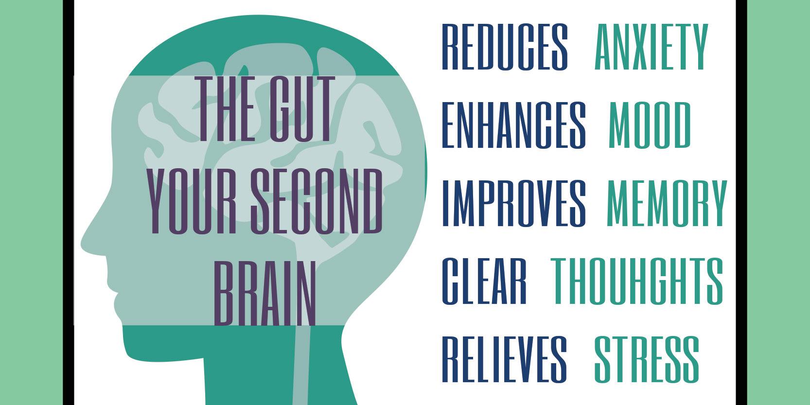 Balance Your Gut, Improve Your Mental Wellness & Reduce your Stress