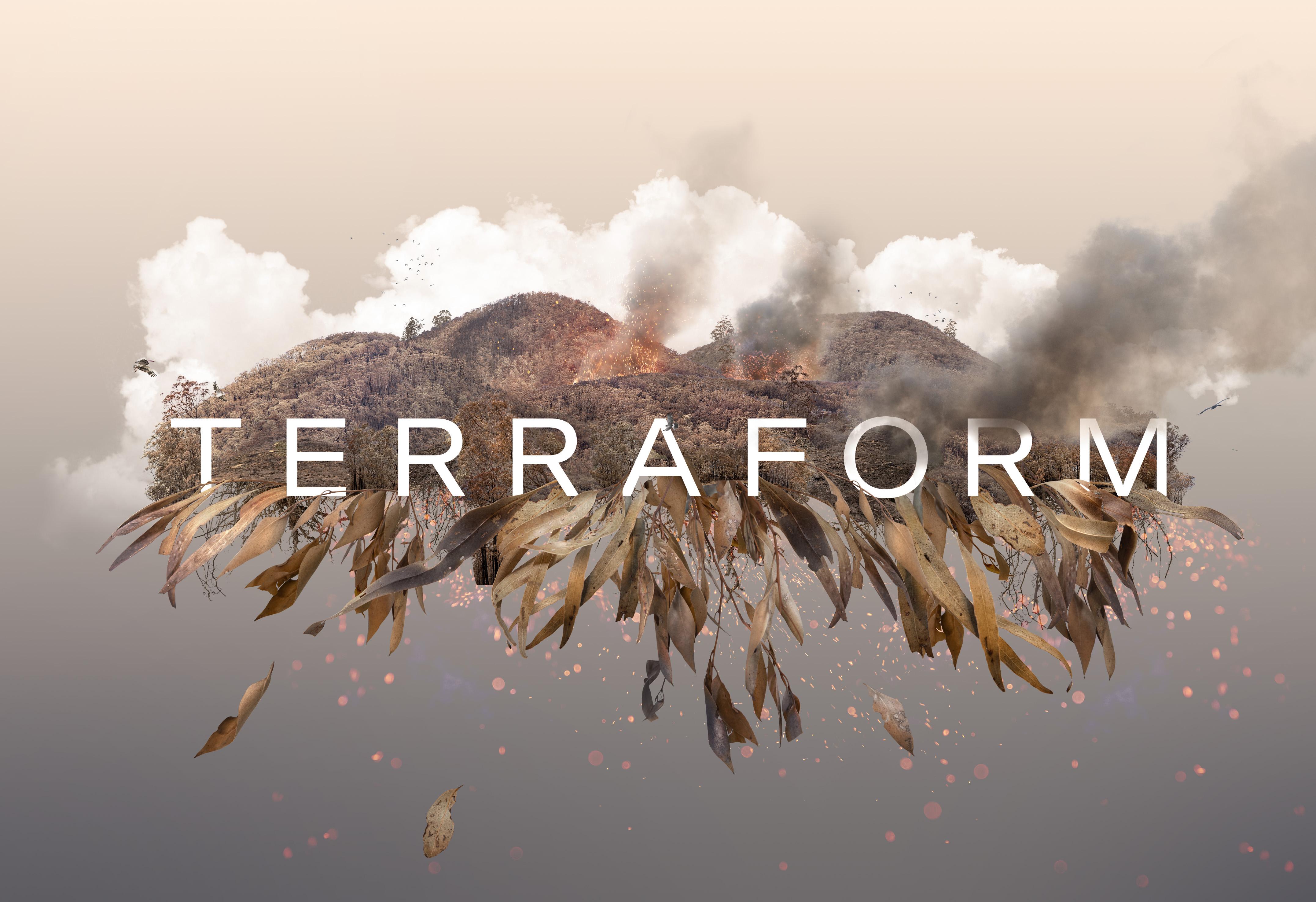 Terraform II