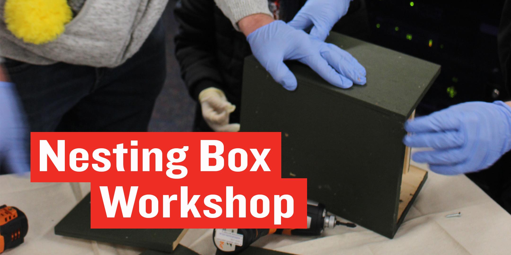 Nesting Box Workshop