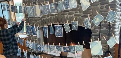 Winter Seaweed Cyanotype Workshop Tickets, Sat, Jan 25, 2025 At 11:00 