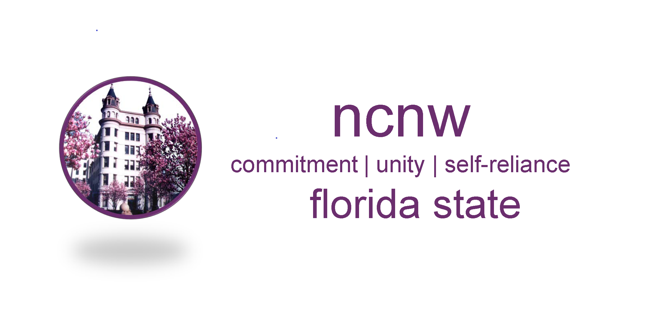 NCNW Florida State Business Meeting