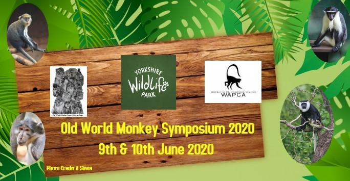 Old World Monkey Symposium 2020