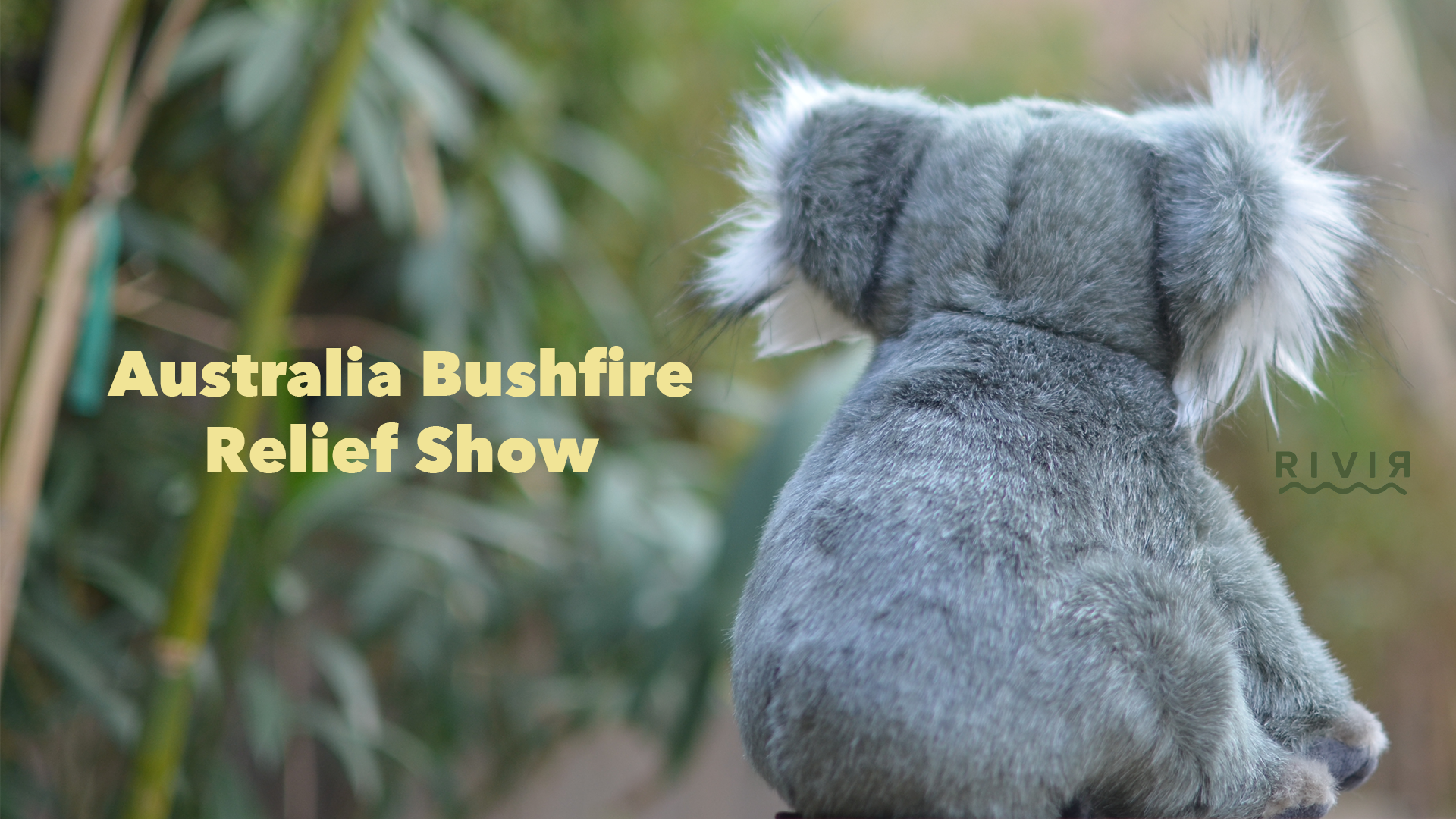 Australian Bushfire Relief Show at Shady Park Tempe