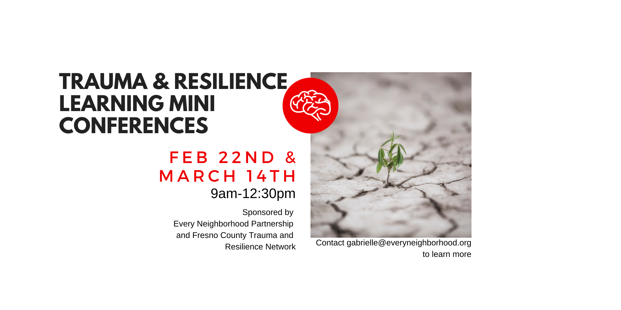 Trauma and Resilience Learning Mini Conference #1