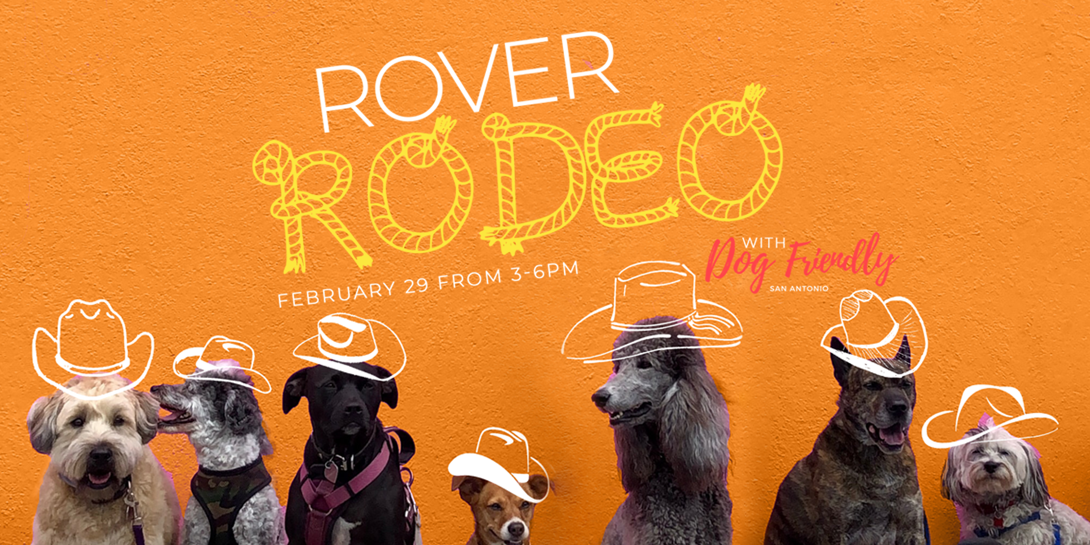Rover Rodeo