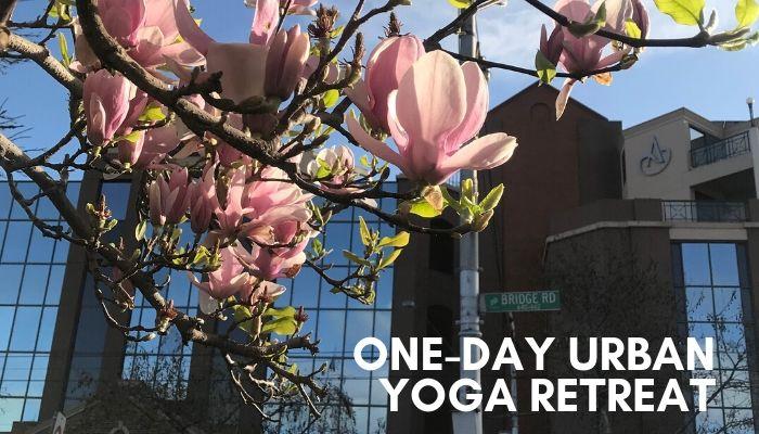 One-Day Urban Yoga & Wellness Retreat