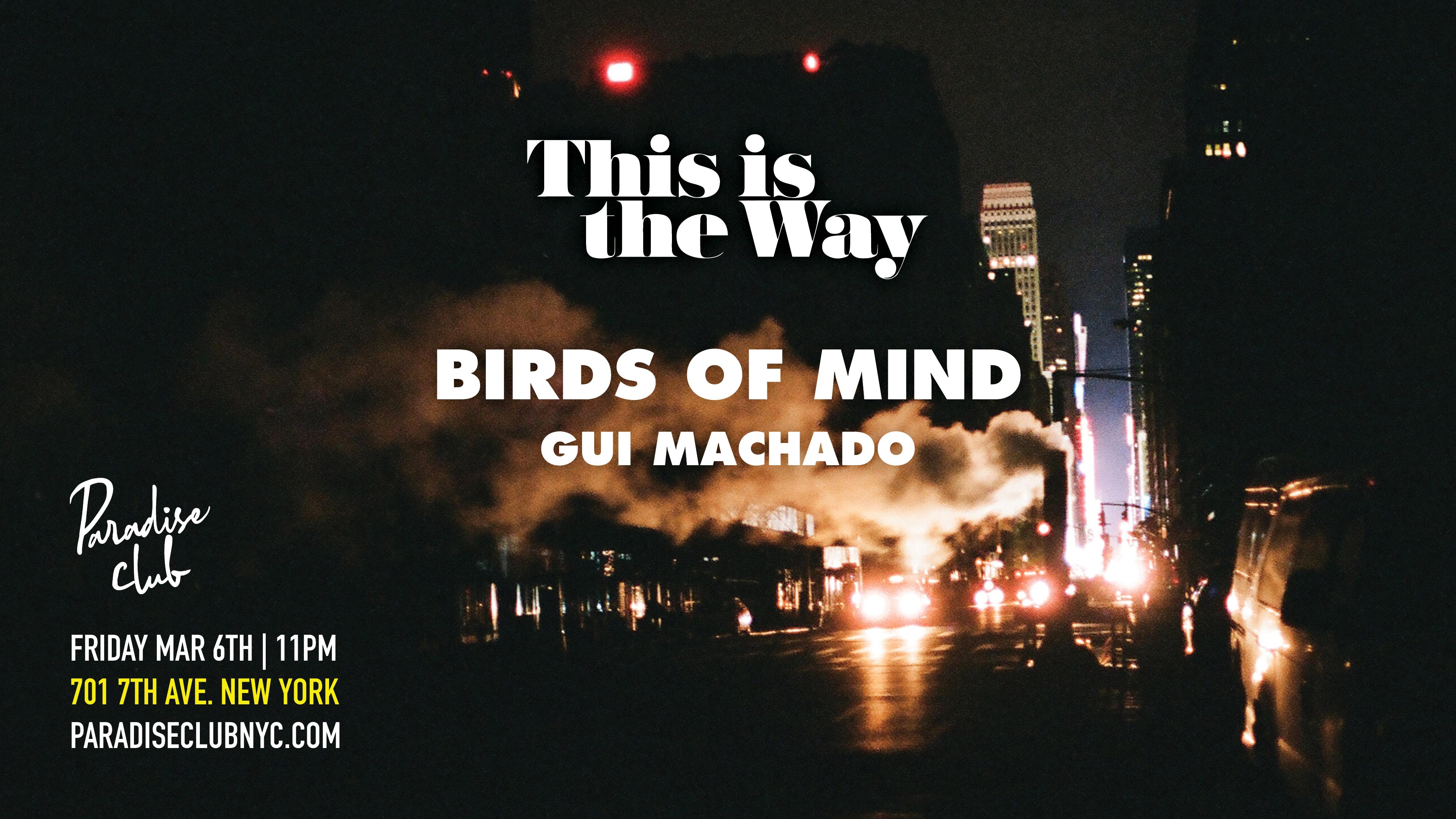 This is the Way: Birds of Mind / Gui Machado in Paradise