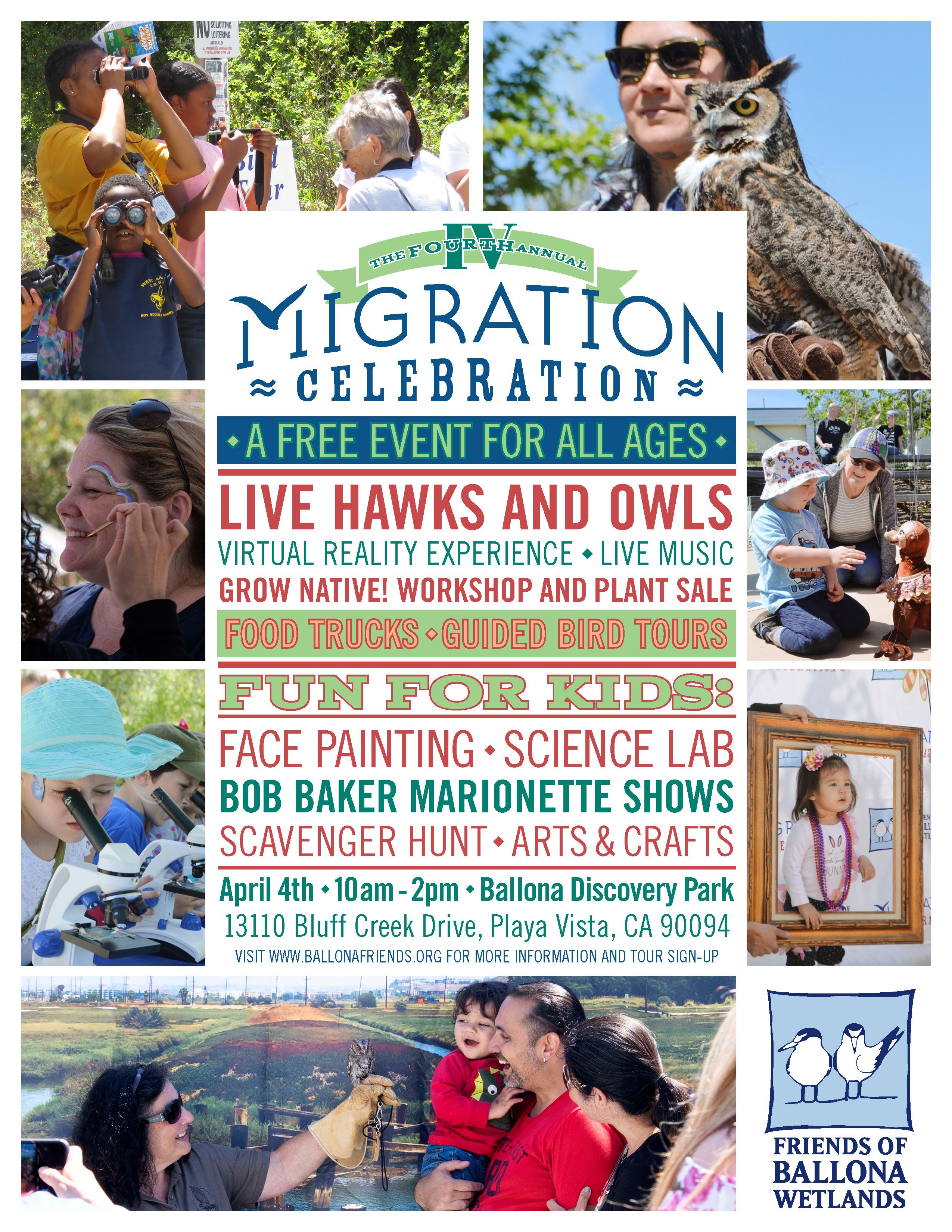 Migration Celebration - Guided Bird Tours