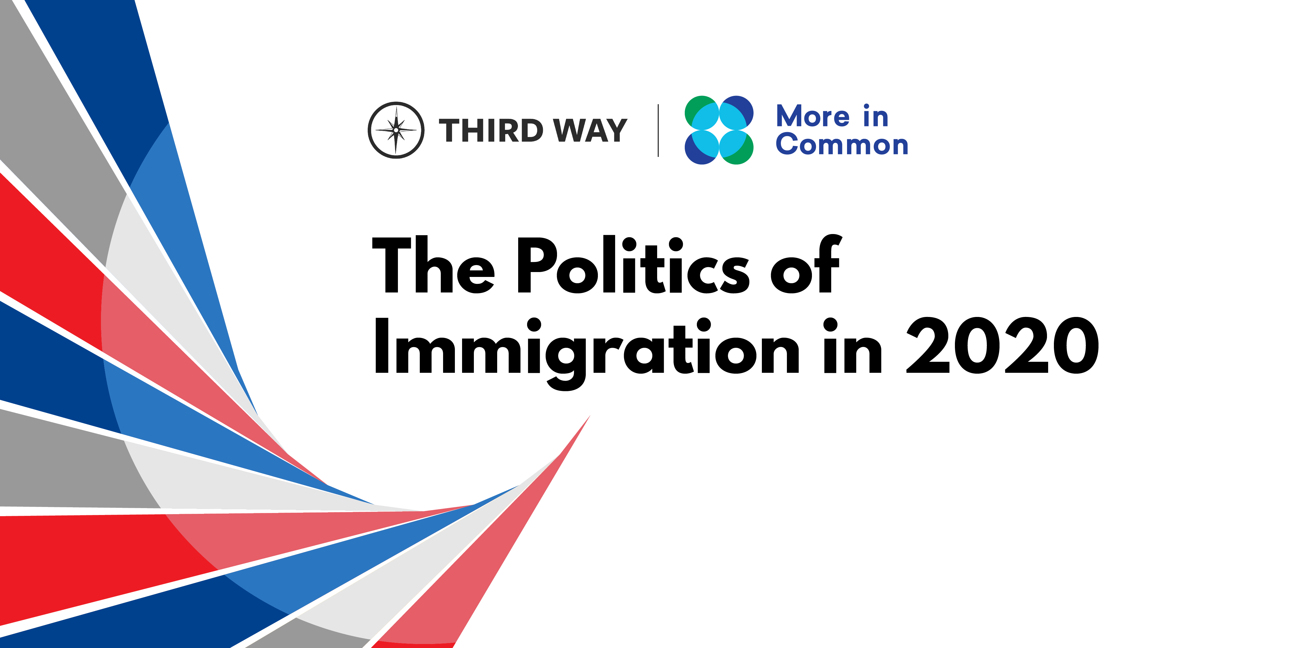 The Politics of Immigration in 2020