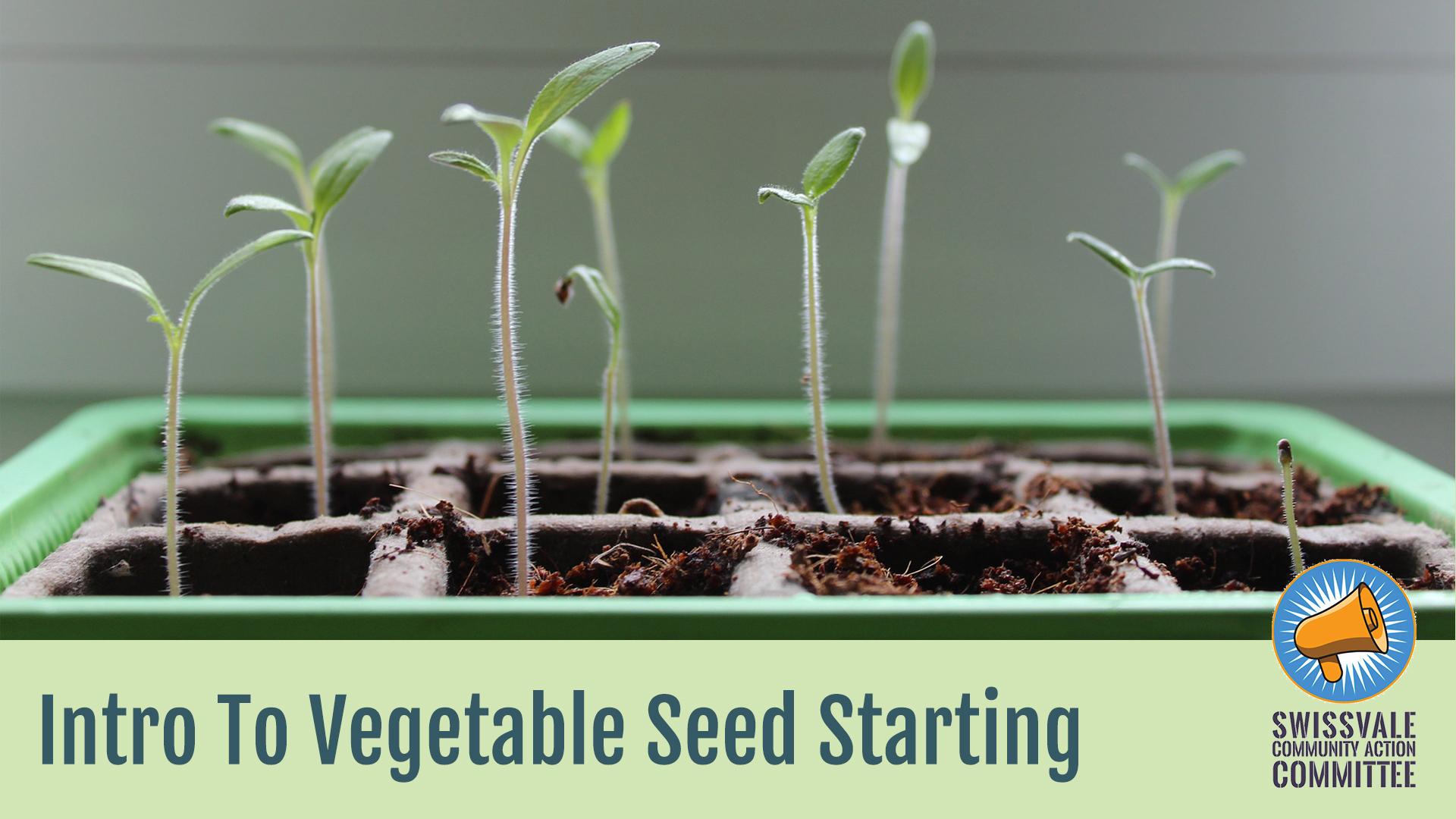 Intro to Vegetable Seed Starting