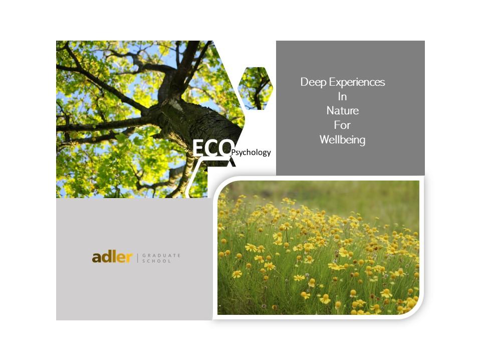 Deep Experiences in Nature for Wellbeing, Michelle Doerr, MA, A ZOOM presentation