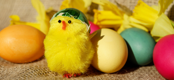Easter Egg Craft and Hunt (6 to 9 Years) at Parramatta Library