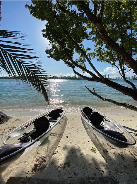 CLEAR Bottom KAYAK Island Adventure with Champagne toast included!