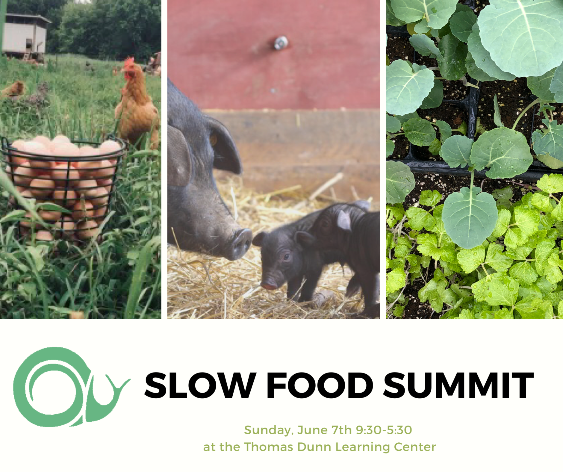 Slow Food Summit