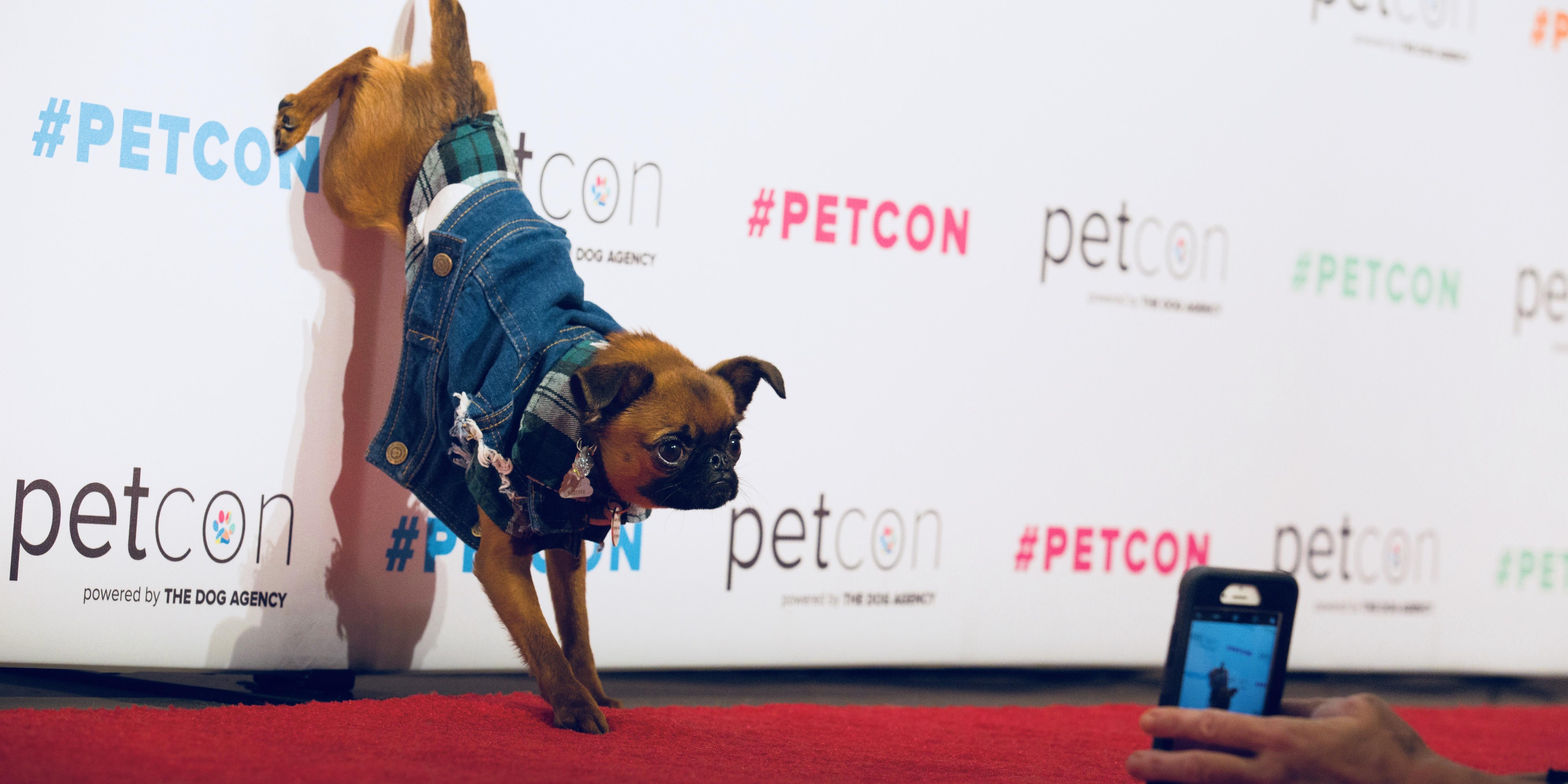 PetCon Chicago 2020 20 JUN 2020