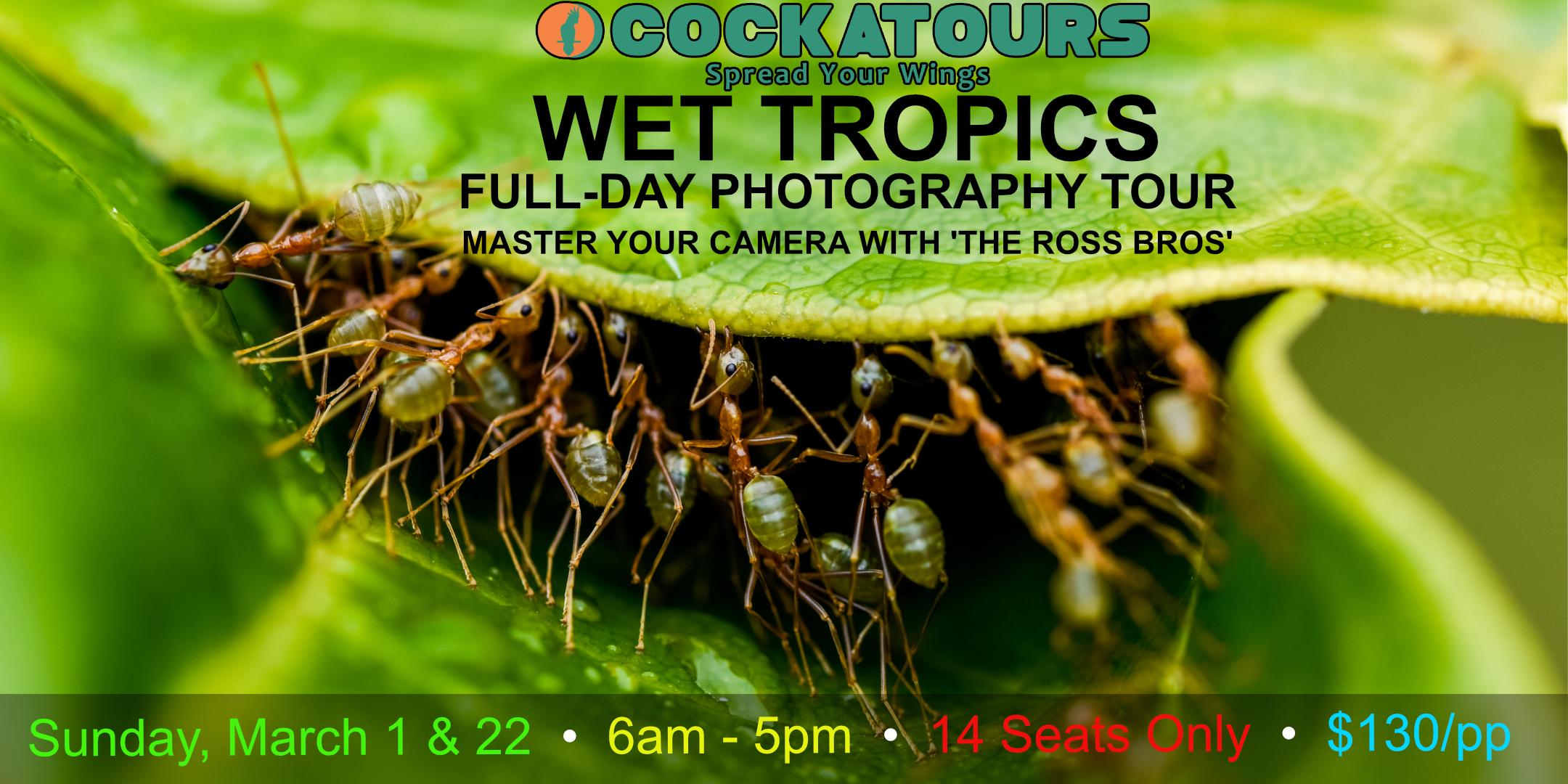 Wet Tropics Full-Day Photography Tour 2020