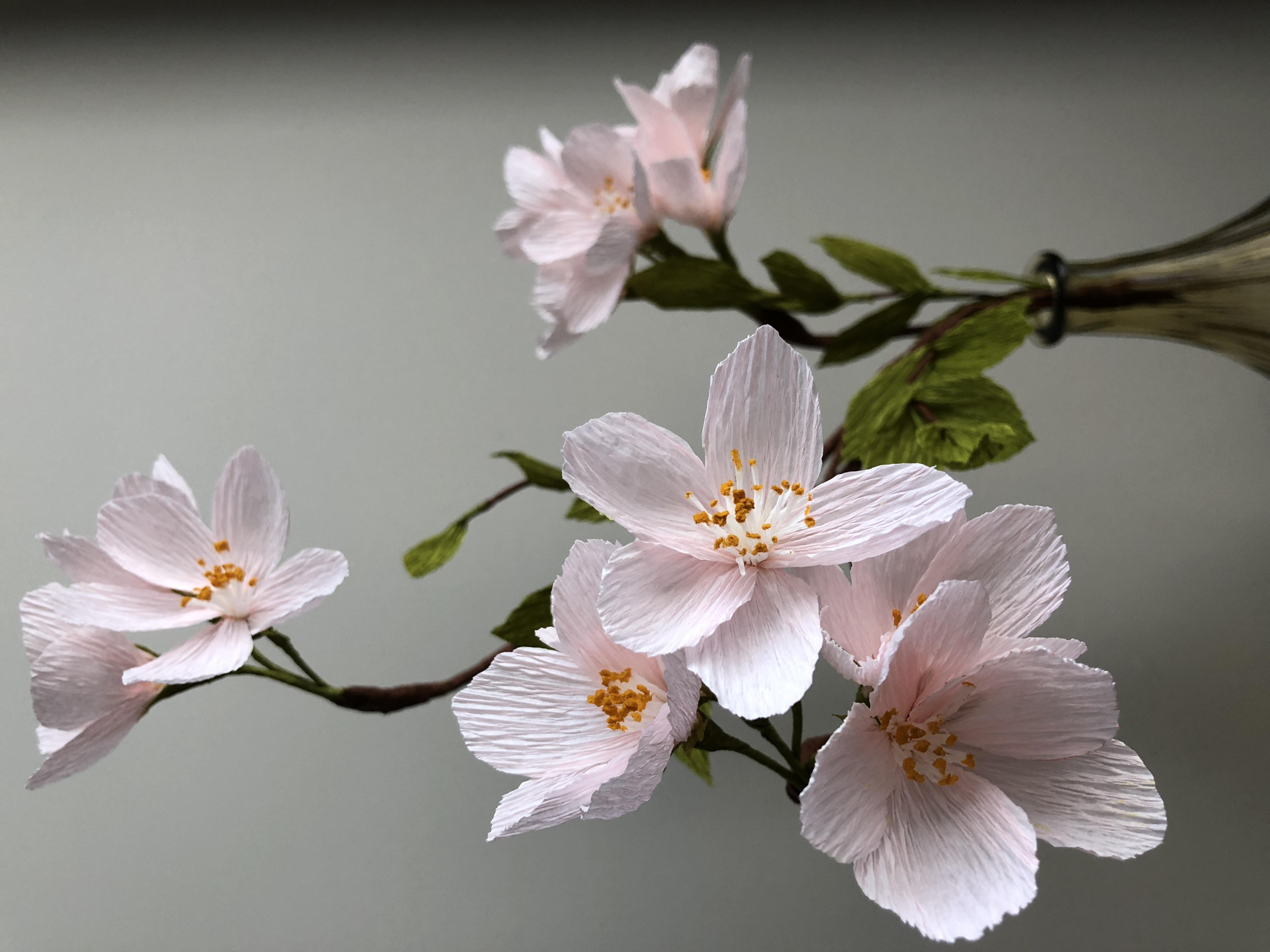 Crepe Paper Cherry Blossoms Workshop
