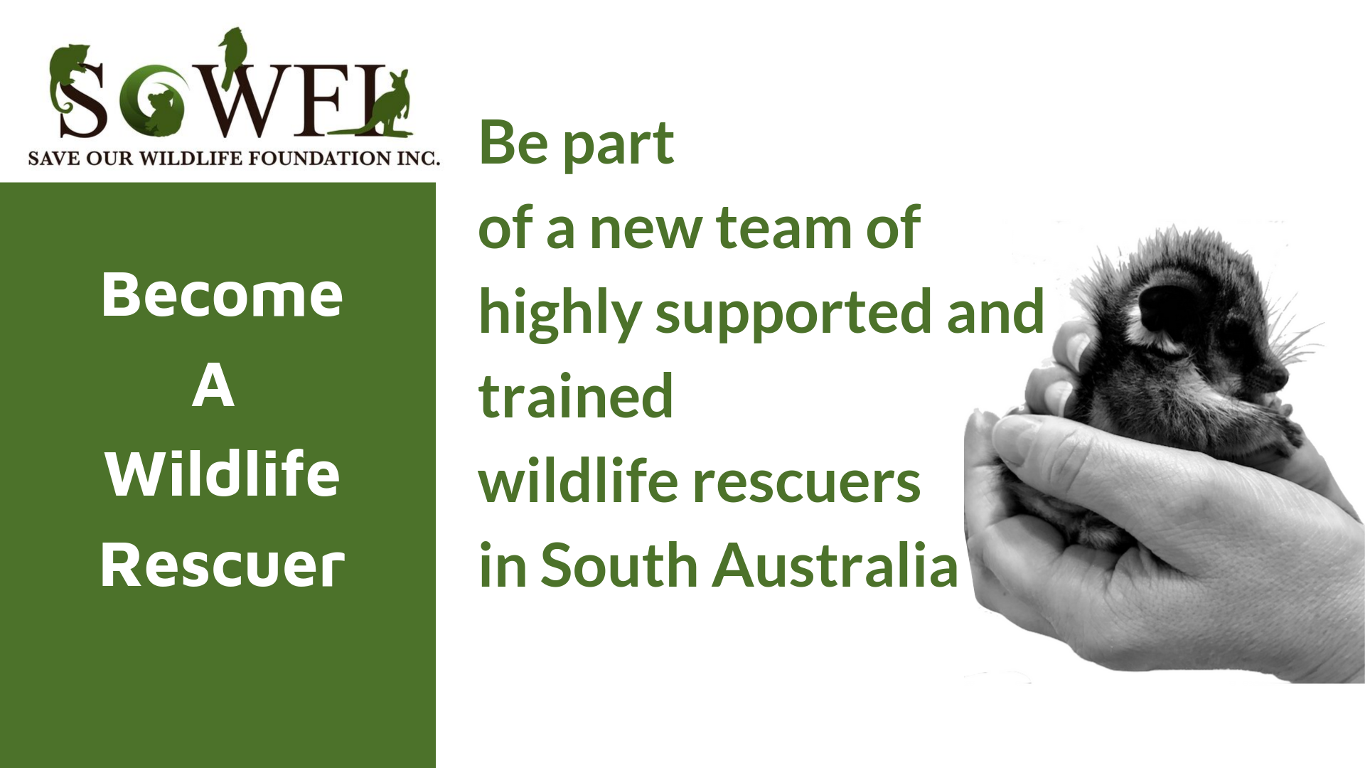 Wildlife Rescuer Course