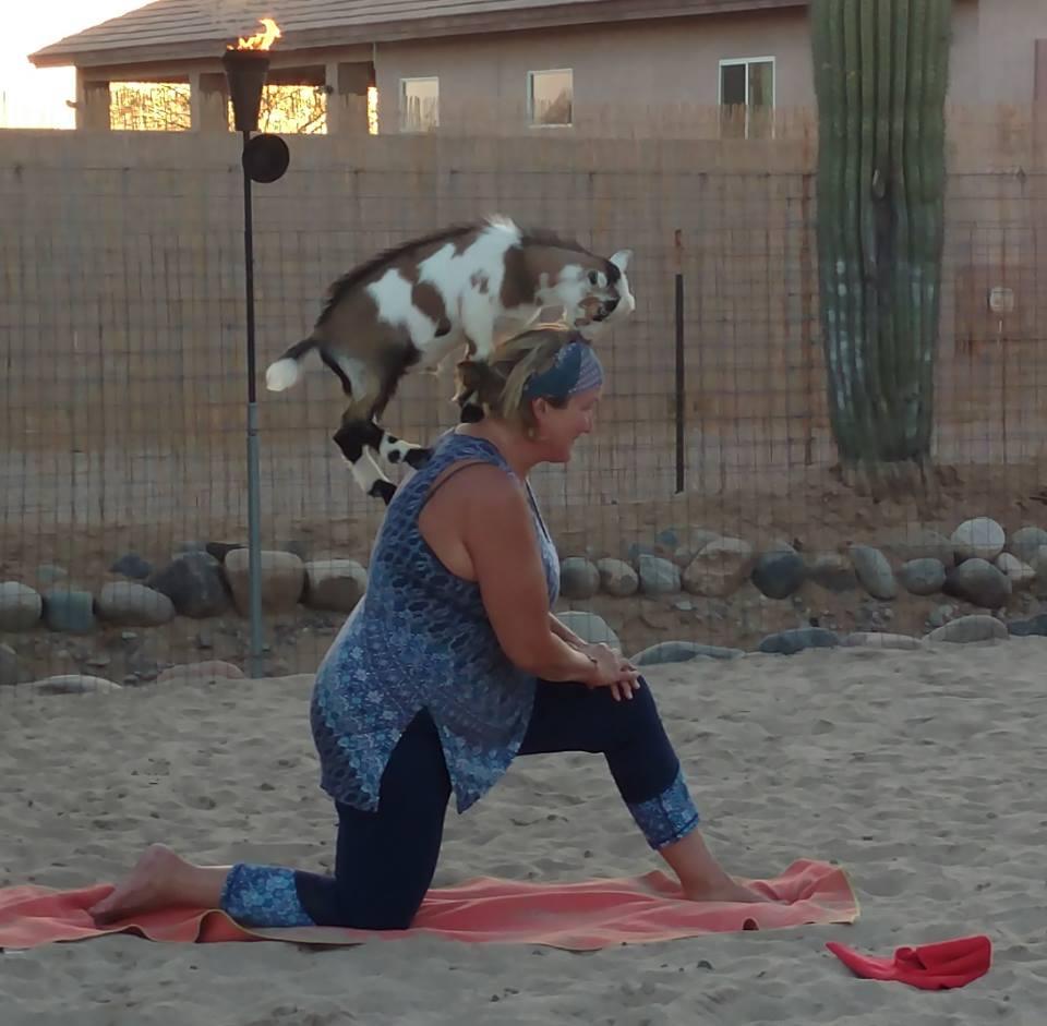 Lil Goat Town's Baby Beach Goat Yoga