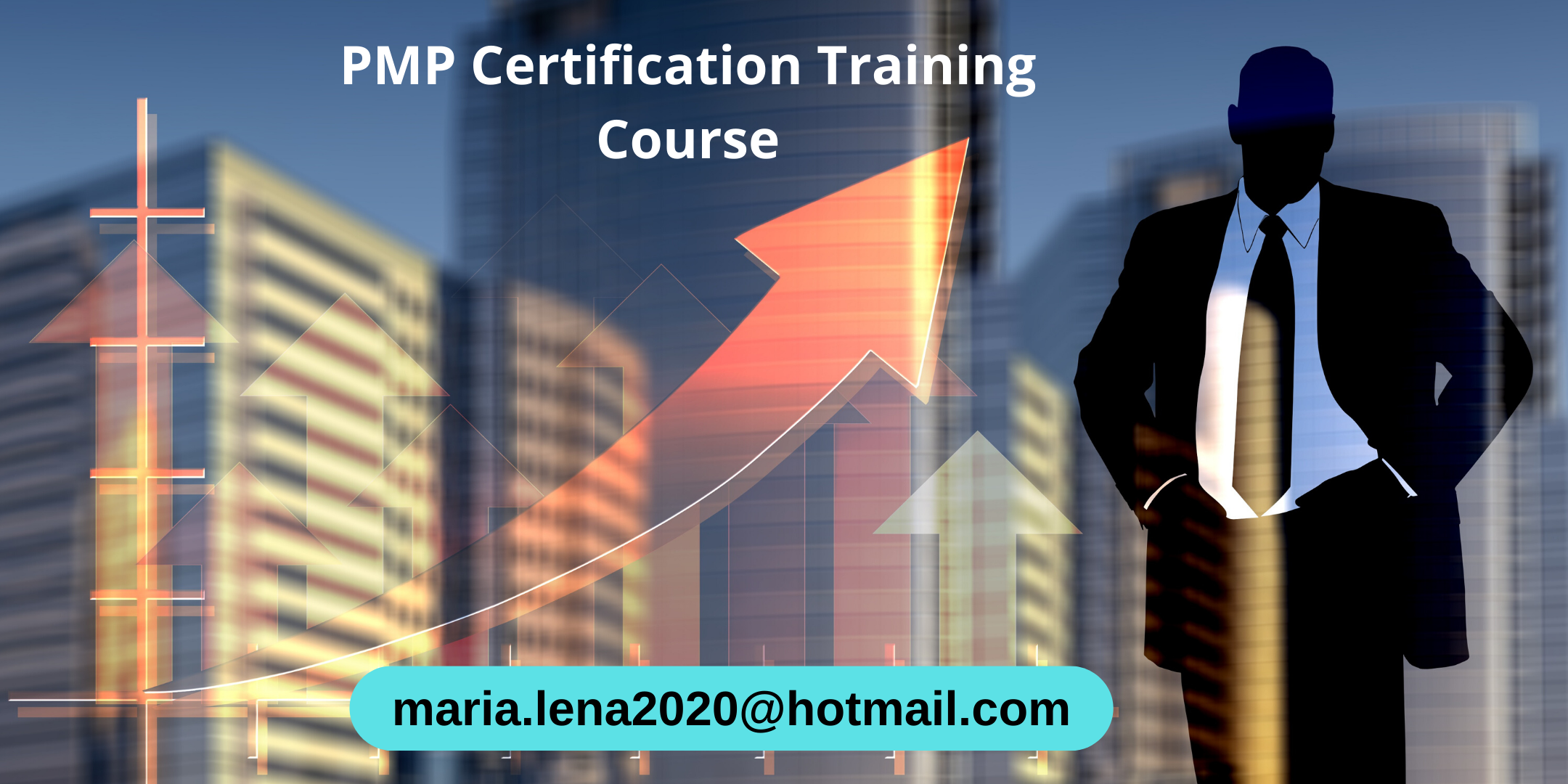 PMP (Project Management) Certification Course in Schaumburg, IL
