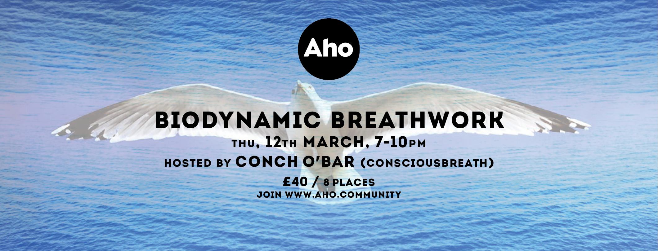 BioDynamic Breathwork With Conch O’Bar