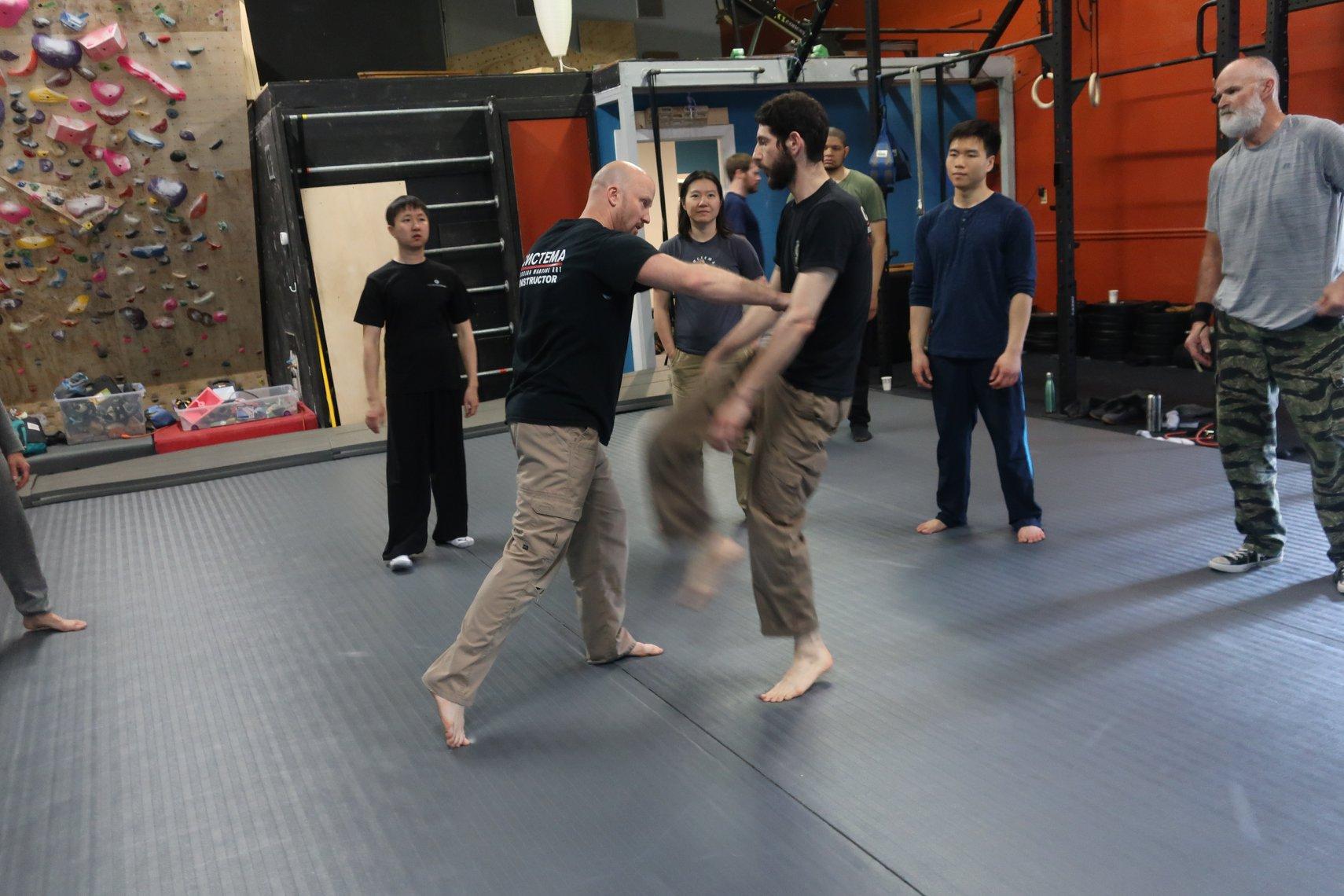 NC SYSTEMA: Martial Arts Classes in Durham