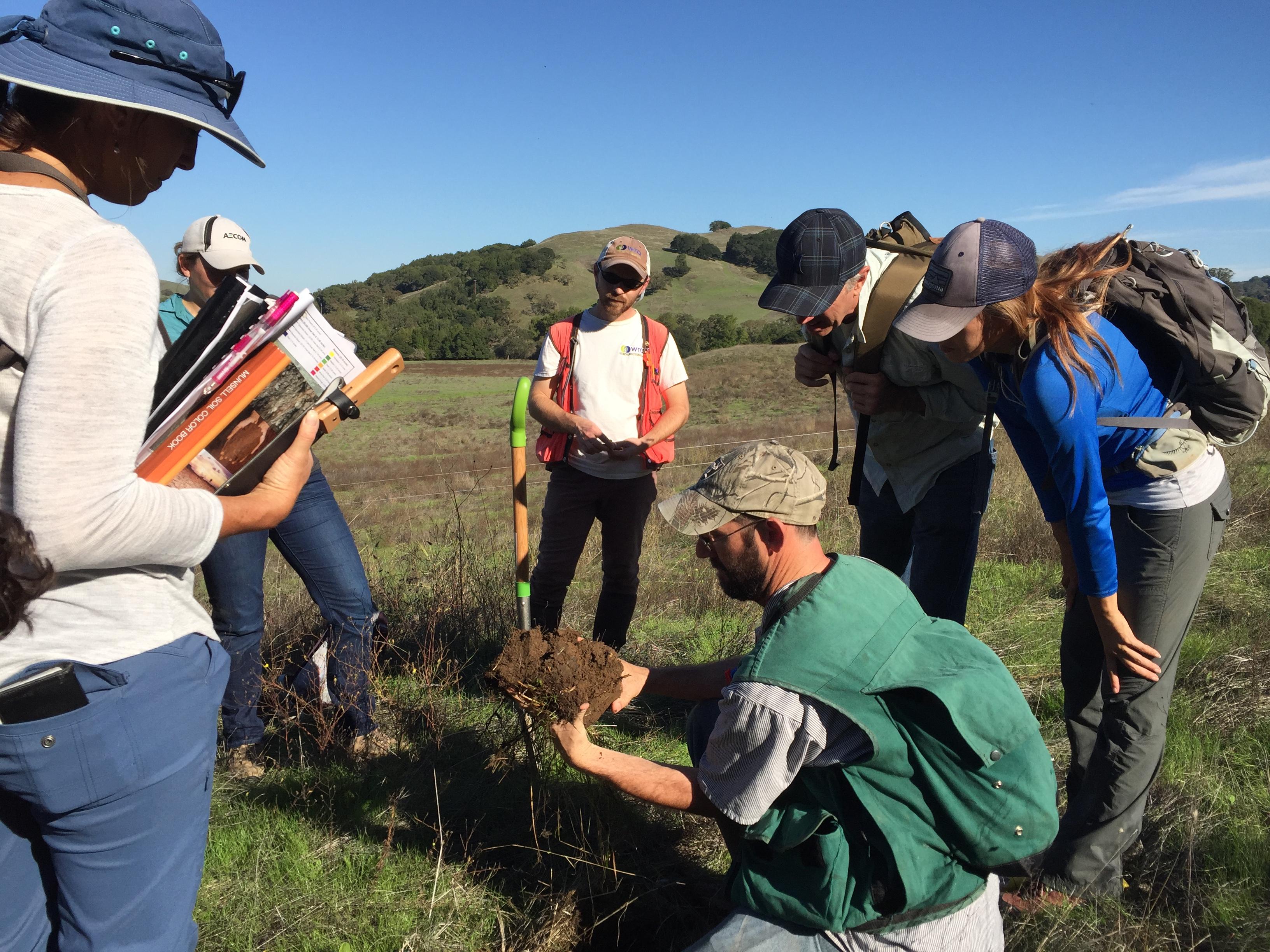 Wetland Delineation Training 2020 15 JUN 2020