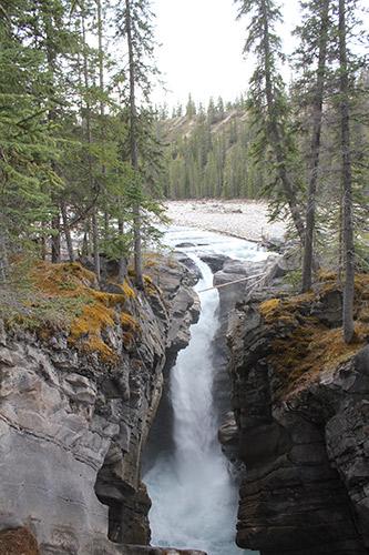 Beginner Guided Hike- Siffleur Falls (Nordegg area) JULY - 18 JUL 2020