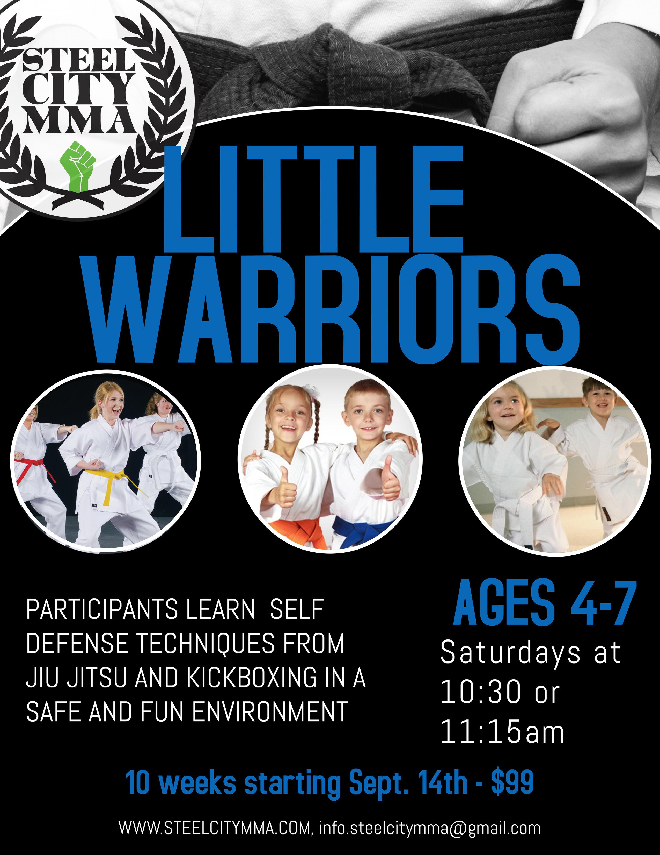 LITTLE WARRIORS (martial arts for ages 4-7)