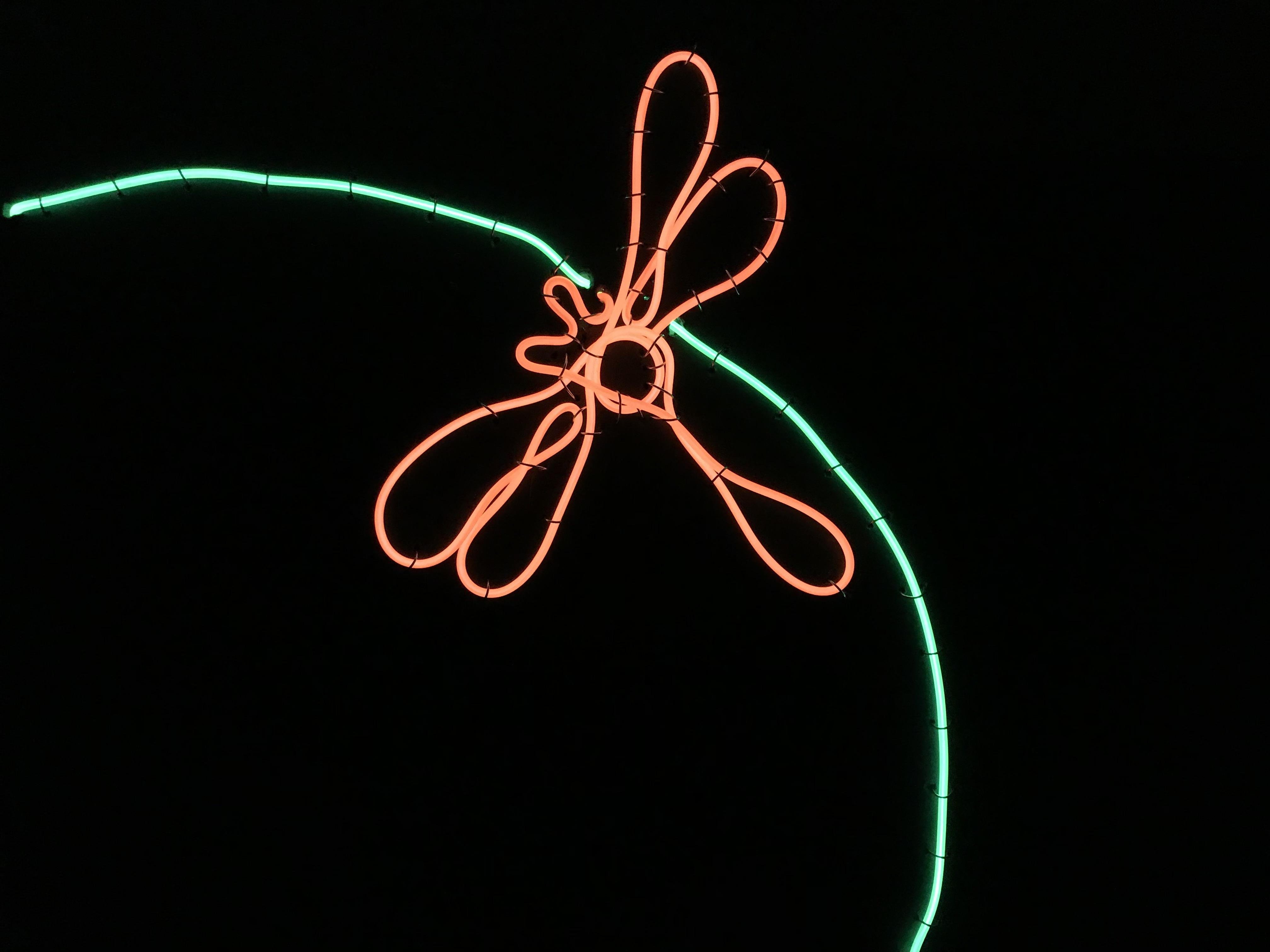 Make your own Neon LED Art