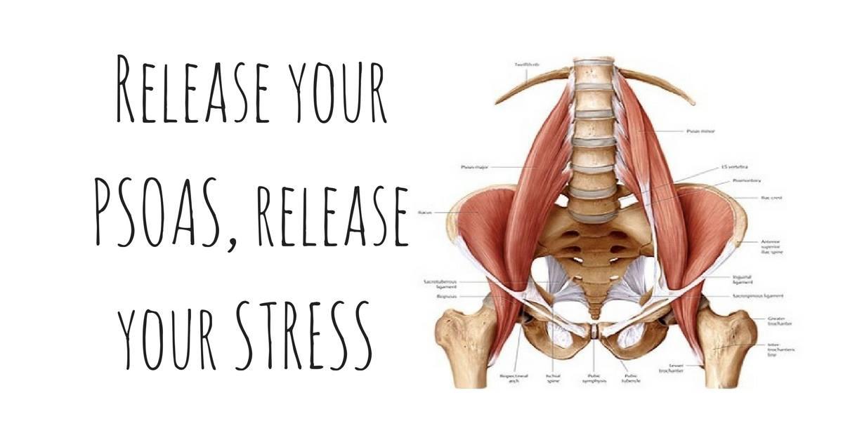 Release Your Psoas, Release Your Stress- TRE®/tension-trauma release