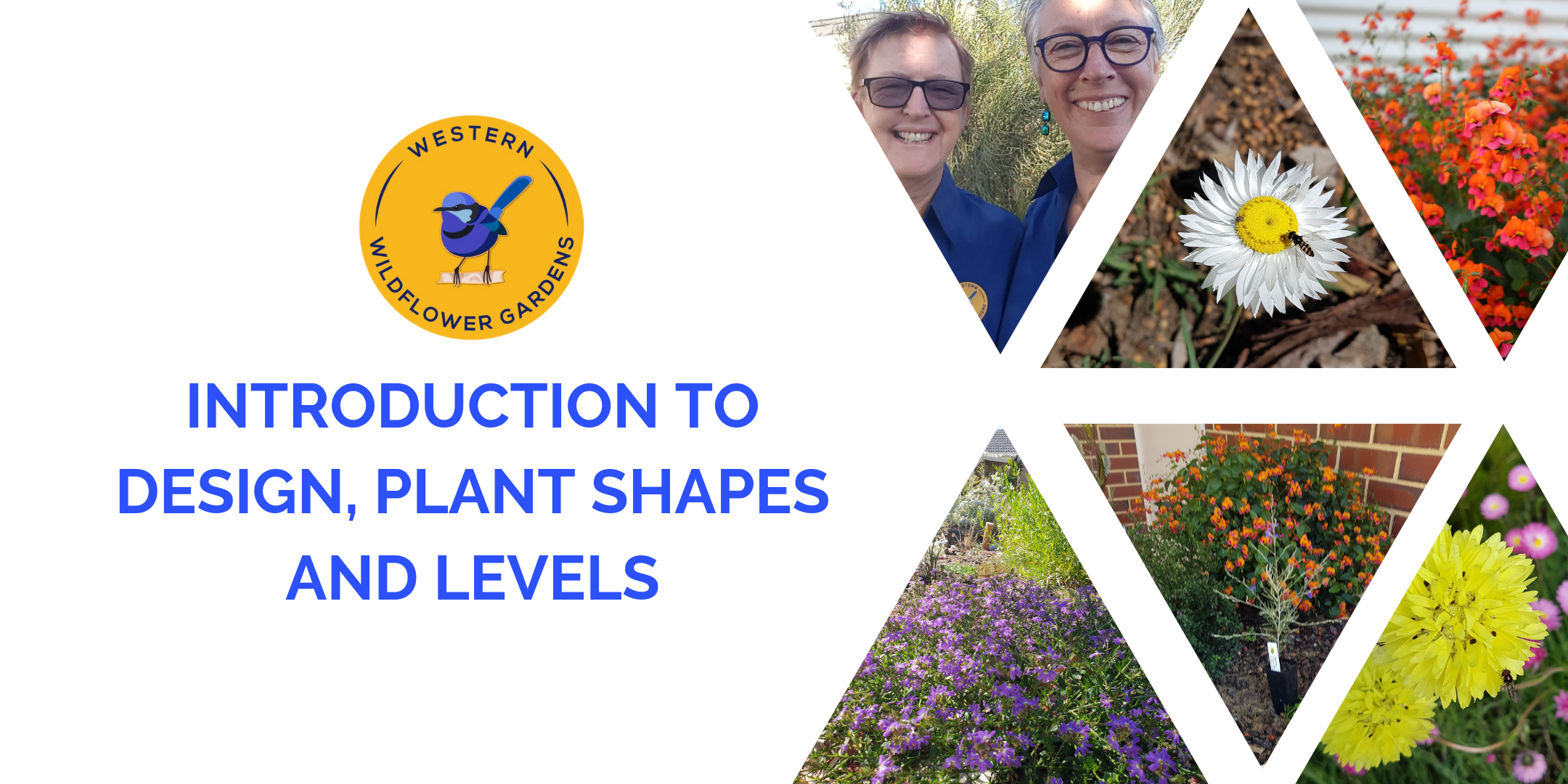 Introduction to Design, Plant Shapes and Levels