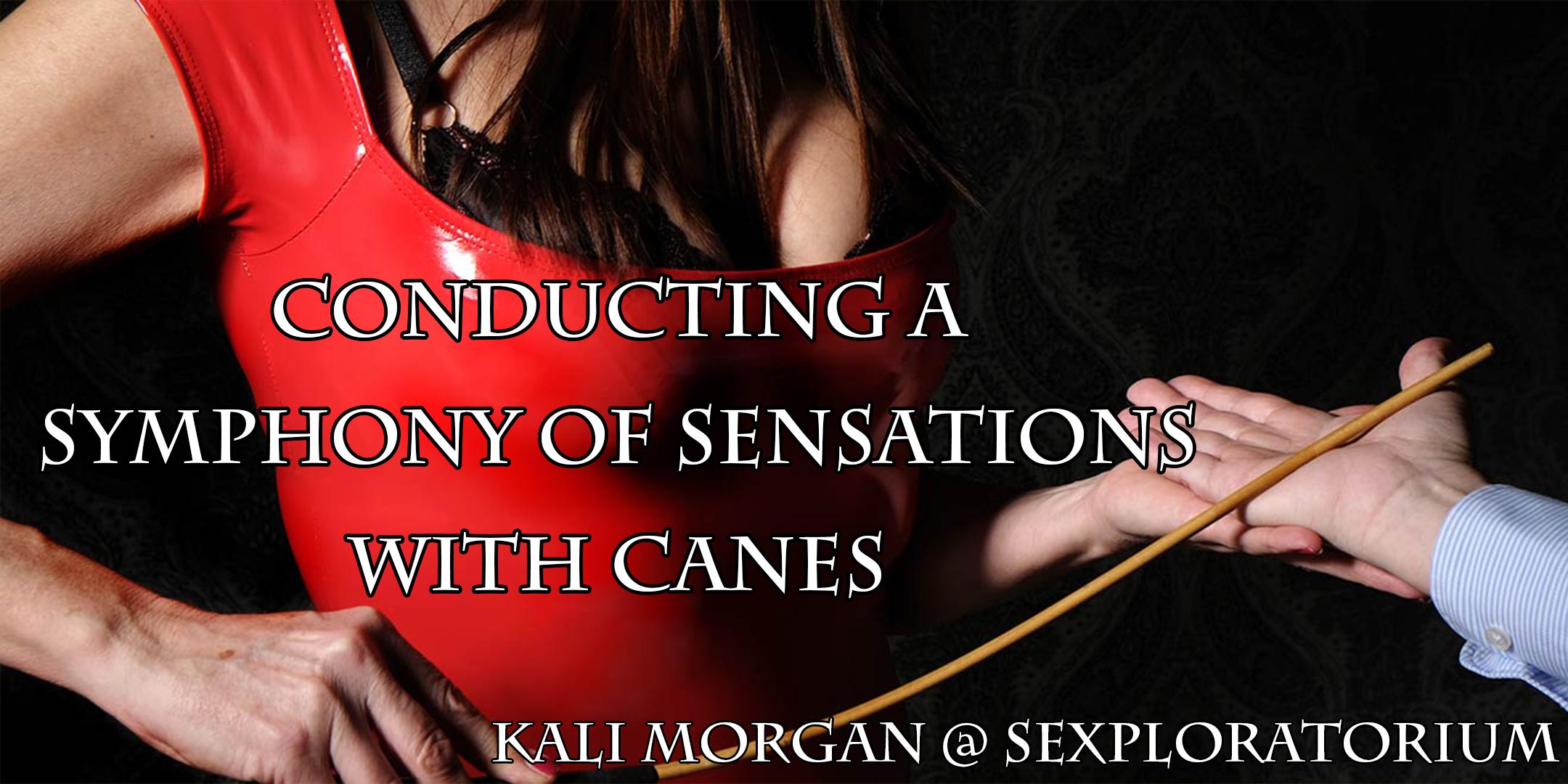 Conducting a Symphony of Sensations with Canes with Kali Morgan