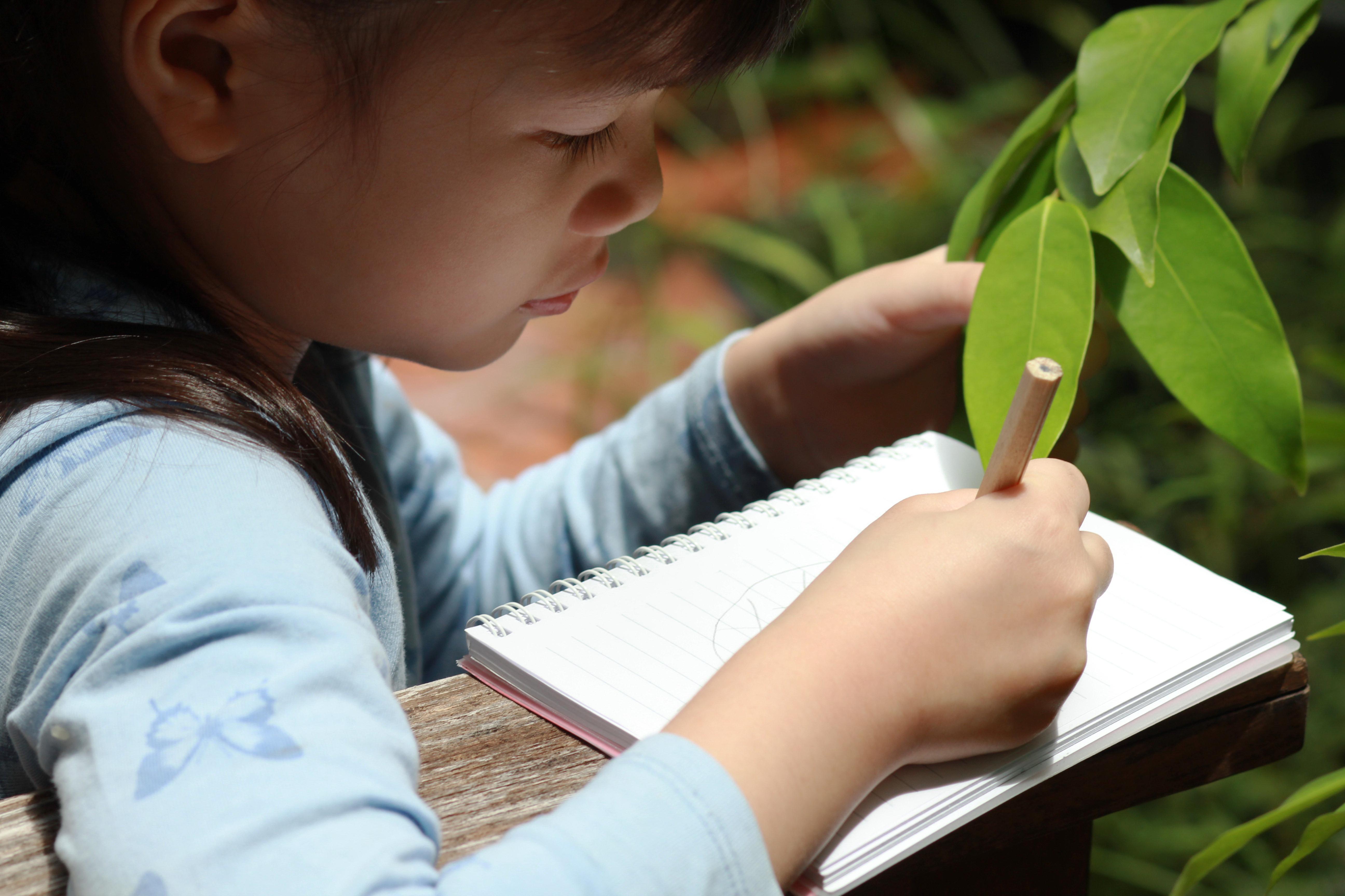 Professional Learning Institute: Nature Journaling in the Classroom
