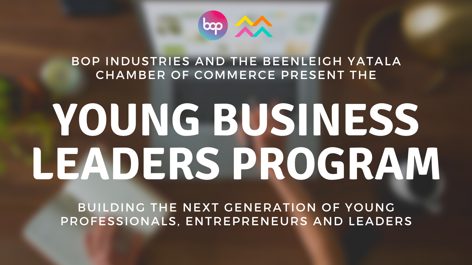 Young Business Leaders Program