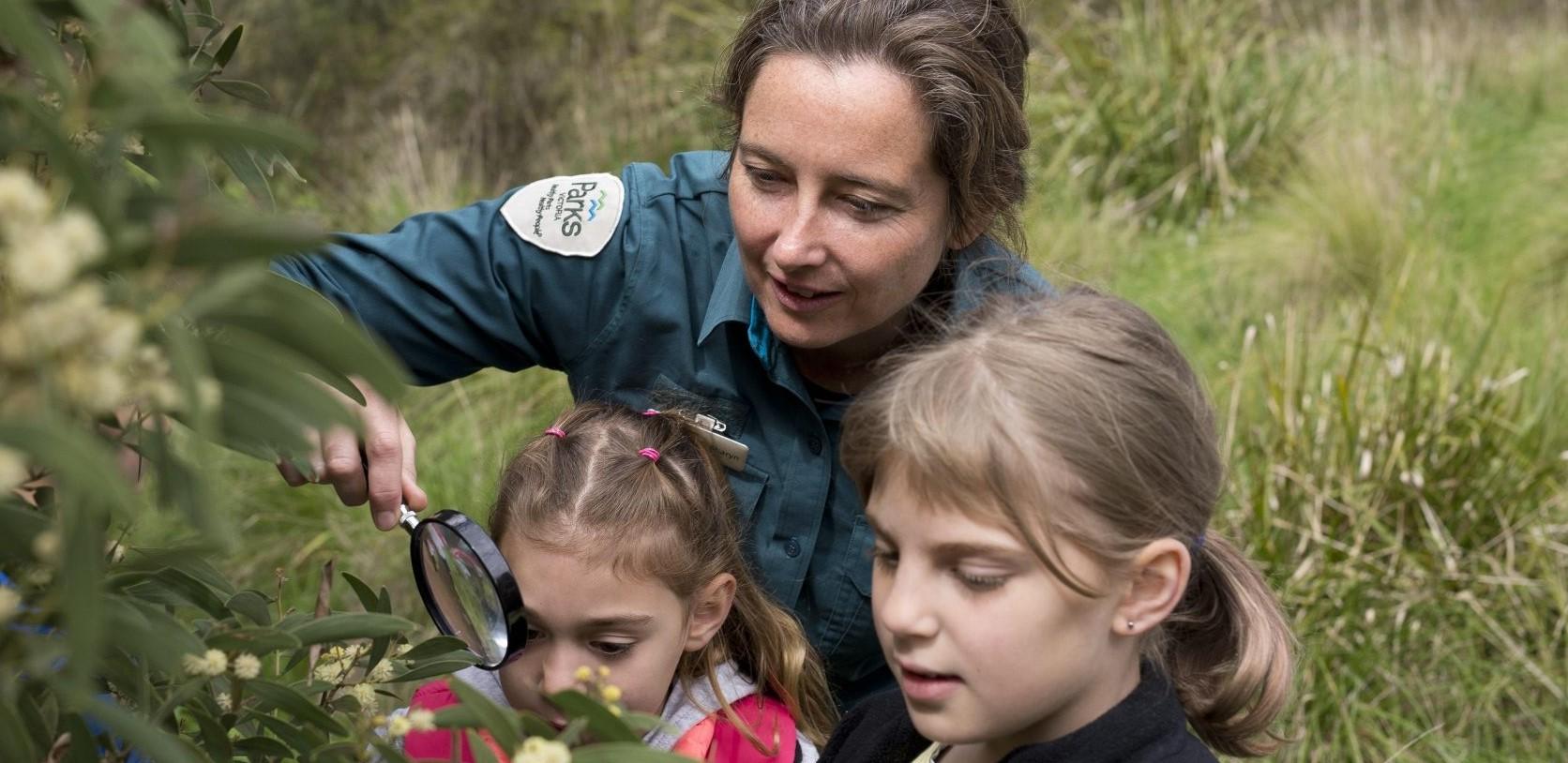 Junior Ranger Wildlife Detective - Bunyip State Park