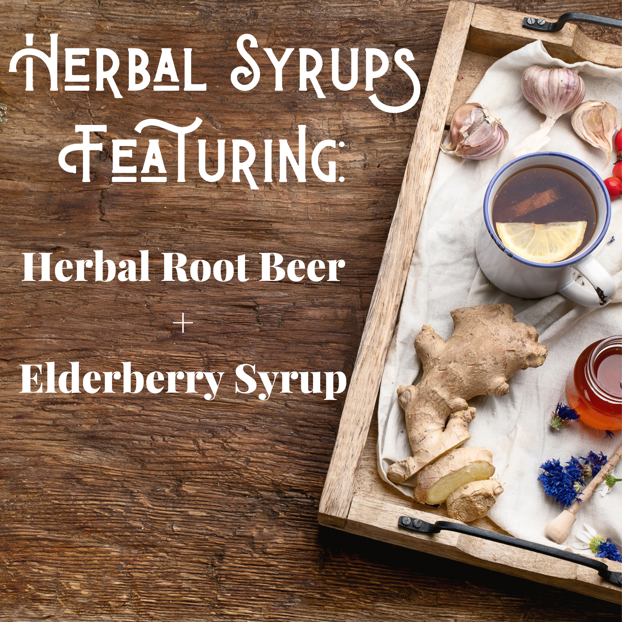 Herbal Syrups: Elderberry + Root Beer