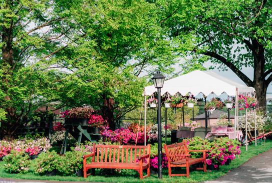 Landon School Azalea Festival