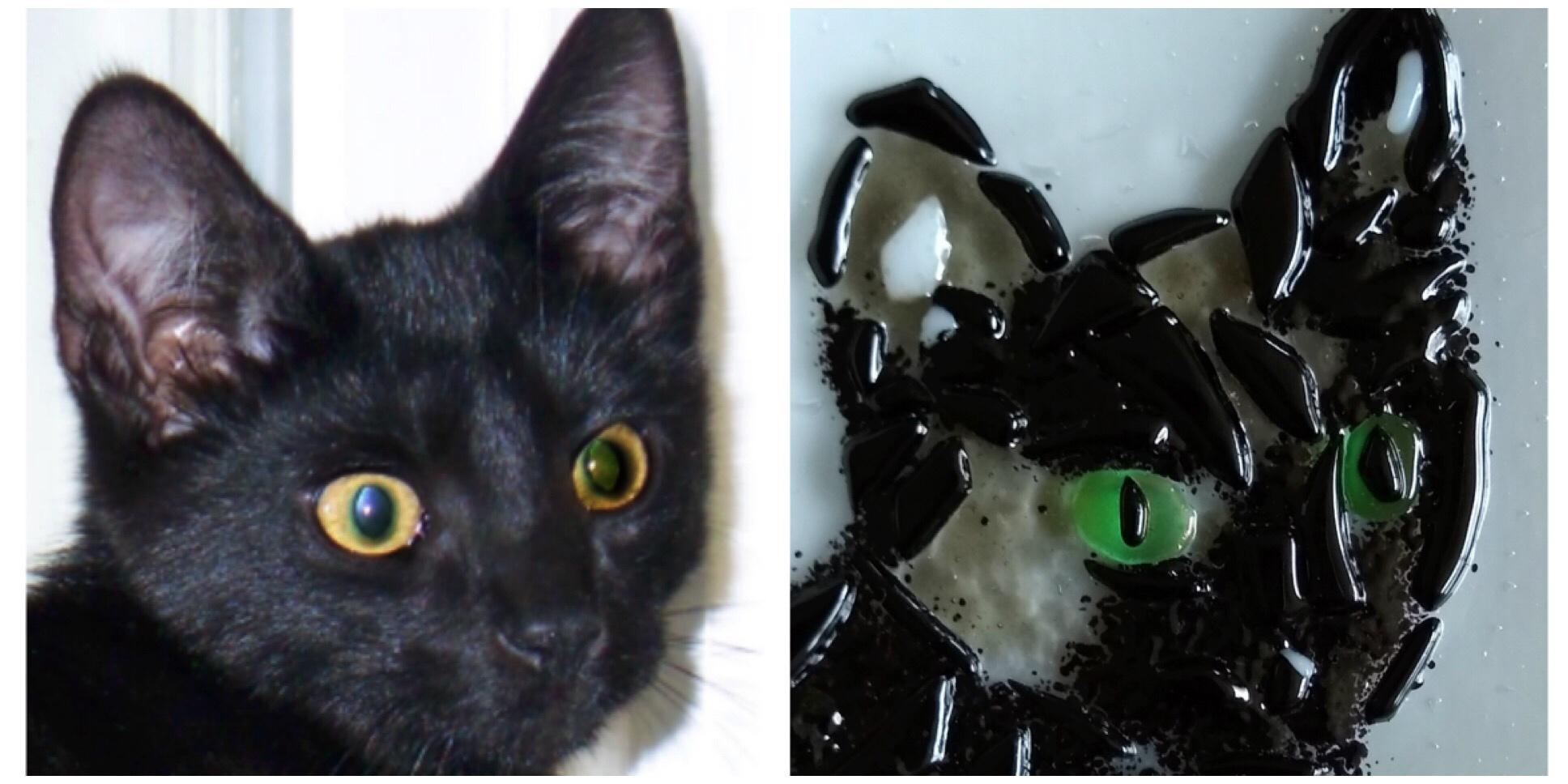 Fused Glass Pet Portraits with artist Chris Guercio