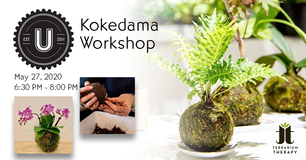 Jade Kokedama Workshop at Union Craft Brewing