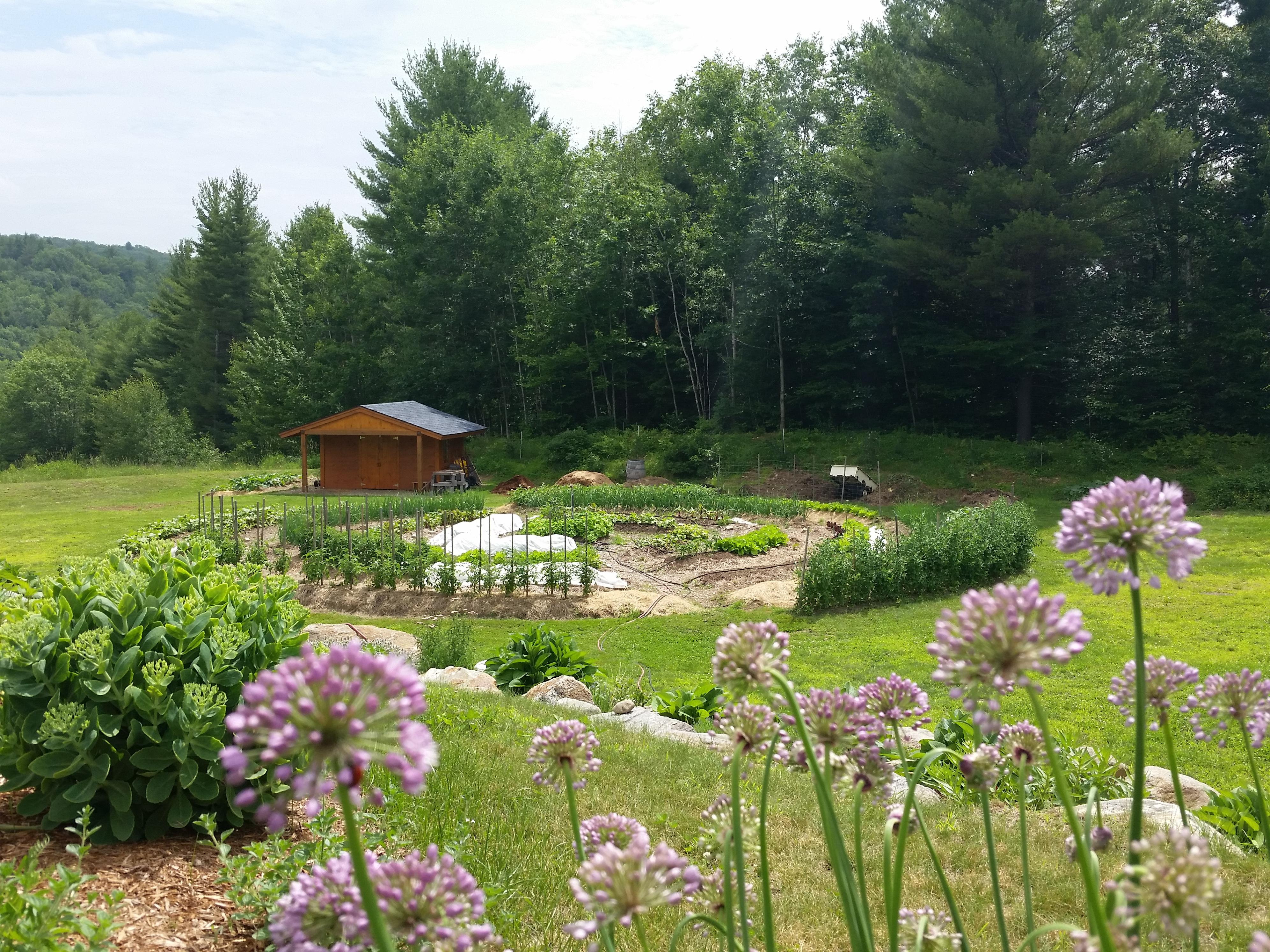 Regenerative Home Gardening with Sadie Stehlik, Local Organic Gardener