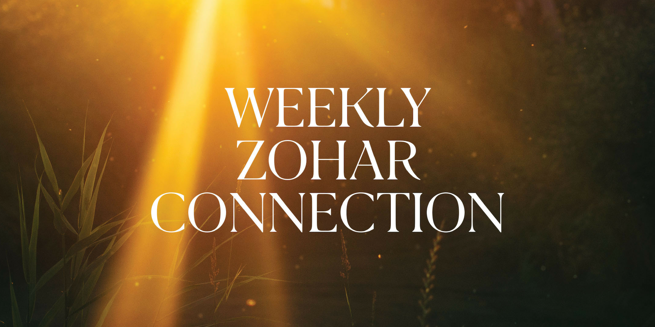 Weekly Zohar Connection 6/8/2020 - MIAMI