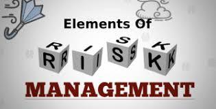 Elements Of Risk Management 1 Day Training in Madrid